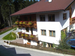 Гостиница Ferienwohnung Ofer Thomas & Michaela, Нойштифт, Штубайталь